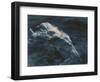 Aphrodite (In Water), 1920-1925-Edward S. Curtis-Framed Giclee Print