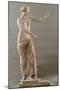 Aphrodite of Capua, 2nd c. B.C. National Archaeological Museum, Naples, Italy-null-Mounted Art Print