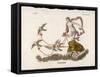 Aphrodite Rides Her Chariot Drawn by Doves Through the Clouds-Bernieri-Framed Stretched Canvas