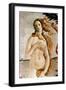 Aphrodite/Venus-Sandro Botticelli-Framed Giclee Print