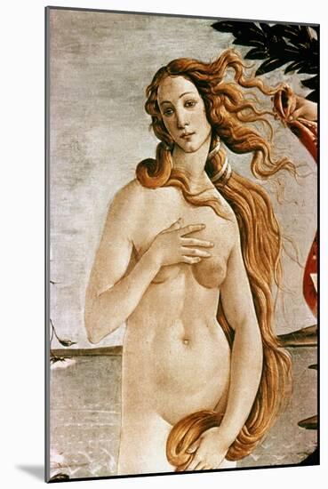 Aphrodite/Venus-Sandro Botticelli-Mounted Giclee Print
