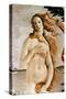 Aphrodite/Venus-Sandro Botticelli-Stretched Canvas