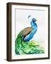 Aphrodite-Marc Allante-Framed Giclee Print