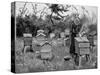 Apiary of Wooden Hives, Lismore, Ireland, 1890-null-Stretched Canvas