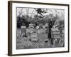 Apiary of Wooden Hives, Lismore, Ireland, 1890-null-Framed Giclee Print