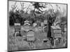 Apiary of Wooden Hives, Lismore, Ireland, 1890-null-Mounted Giclee Print