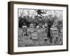 Apiary of Wooden Hives, Lismore, Ireland, 1890-null-Framed Giclee Print