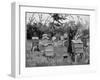 Apiary of Wooden Hives, Lismore, Ireland, 1890-null-Framed Giclee Print