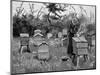 Apiary of Wooden Hives, Lismore, Ireland, 1890-null-Mounted Giclee Print