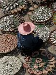 A Thai Woman Sells Dried Fish in Bangkok, Thailand, January 26, 2007-Apichart Weerawong-Mounted Photographic Print