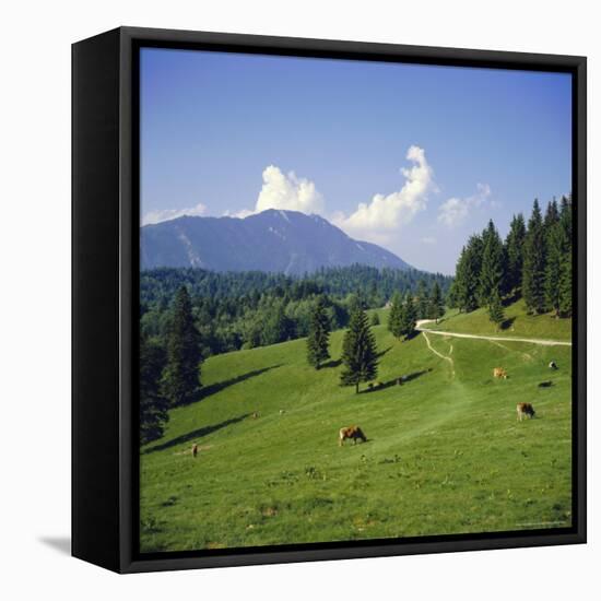 Apline Pastures on the Edge of the Bucegi Mountains, Carpathian Mountains, Transylvania, Romania-Christopher Rennie-Framed Stretched Canvas