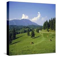 Apline Pastures on the Edge of the Bucegi Mountains, Carpathian Mountains, Transylvania, Romania-Christopher Rennie-Stretched Canvas