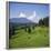 Apline Pastures on the Edge of the Bucegi Mountains, Carpathian Mountains, Transylvania, Romania-Christopher Rennie-Framed Photographic Print