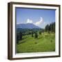 Apline Pastures on the Edge of the Bucegi Mountains, Carpathian Mountains, Transylvania, Romania-Christopher Rennie-Framed Photographic Print