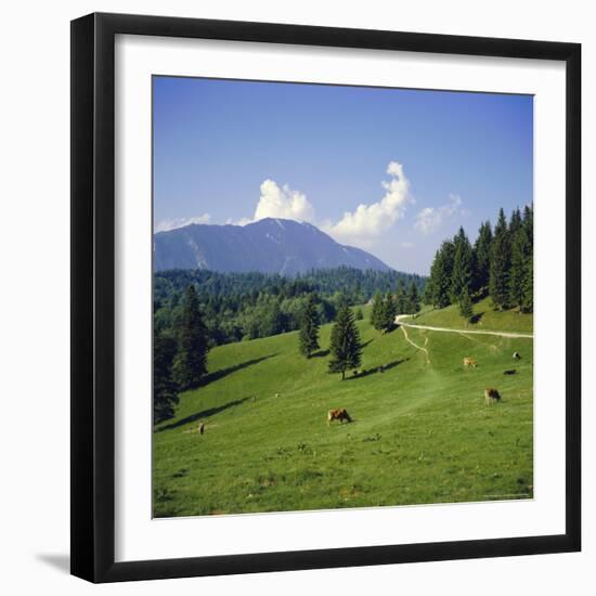 Apline Pastures on the Edge of the Bucegi Mountains, Carpathian Mountains, Transylvania, Romania-Christopher Rennie-Framed Photographic Print