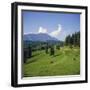 Apline Pastures on the Edge of the Bucegi Mountains, Carpathian Mountains, Transylvania, Romania-Christopher Rennie-Framed Photographic Print