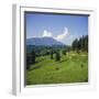 Apline Pastures on the Edge of the Bucegi Mountains, Carpathian Mountains, Transylvania, Romania-Christopher Rennie-Framed Photographic Print