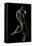 Aplopeltura Boa (Blunt-Headed Tree Snake)-Paul Starosta-Framed Stretched Canvas