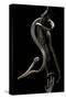 Aplopeltura Boa (Blunt-Headed Tree Snake)-Paul Starosta-Stretched Canvas