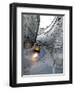 Apn Lisbon Streetcar-Armando Franca-Framed Photographic Print