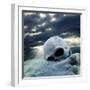 Apocalypse after War-udra11-Framed Premium Photographic Print