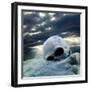 Apocalypse after War-udra11-Framed Photographic Print