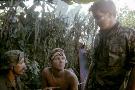 Laminate
