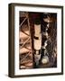 Apollo 10 Spacecraft-null-Framed Photographic Print