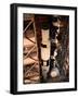 Apollo 10 Spacecraft-null-Framed Photographic Print