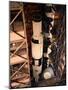 Apollo 10 Spacecraft-null-Mounted Photographic Print