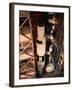 Apollo 10 Spacecraft-null-Framed Photographic Print