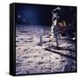 Apollo 11 Aldrin-Niel Armstrong-Framed Stretched Canvas