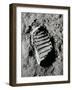 Apollo 11 Boot Print on the Moon. July 20, 1969-null-Framed Photo