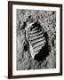 Apollo 11 Boot Print on the Moon. July 20, 1969-null-Framed Photo