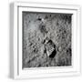 White Frame