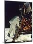 Apollo 11: 'Buzz' Aldrin-null-Mounted Premium Photographic Print