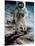 Apollo 11: Buzz Aldrin-null-Mounted Photographic Print