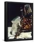 Essential Black