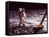 Apollo 11 Lunar Modul, Moon Walk-null-Framed Stretched Canvas