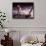 Apollo 11 Lunar Modul, Moon Walk-null-Framed Stretched Canvas displayed on a wall