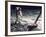 Apollo 11: Lunar Module-null-Framed Photographic Print