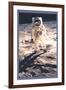 Apollo 11: Man on the Moon-null-Framed Art Print