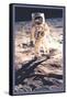 Apollo 11: Man on the Moon-null-Framed Stretched Canvas