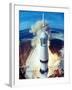 Apollo 11 Spacecraft Lifting Off Launch Pad at Cape Kennedy-null-Framed Photographic Print