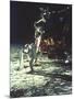 Apollo 11: Sun Sheet-null-Mounted Photographic Print