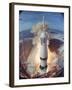 Apollo 11 Taking Off For Its Manned Moon Landing Mission-Ralph Morse-Framed Photographic Print