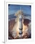 Apollo 11 Taking Off For Its Manned Moon Landing Mission-Ralph Morse-Framed Photographic Print