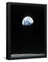 Essential Black