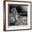 Apollo 12 Astronaut on the Moon-null-Framed Photographic Print