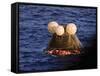 Apollo 13 Capsule-null-Framed Stretched Canvas